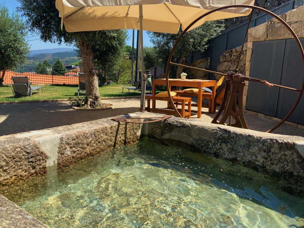 Casa Da Zefinha, Em Cinfaes, No Douro Apartment Екстериор снимка