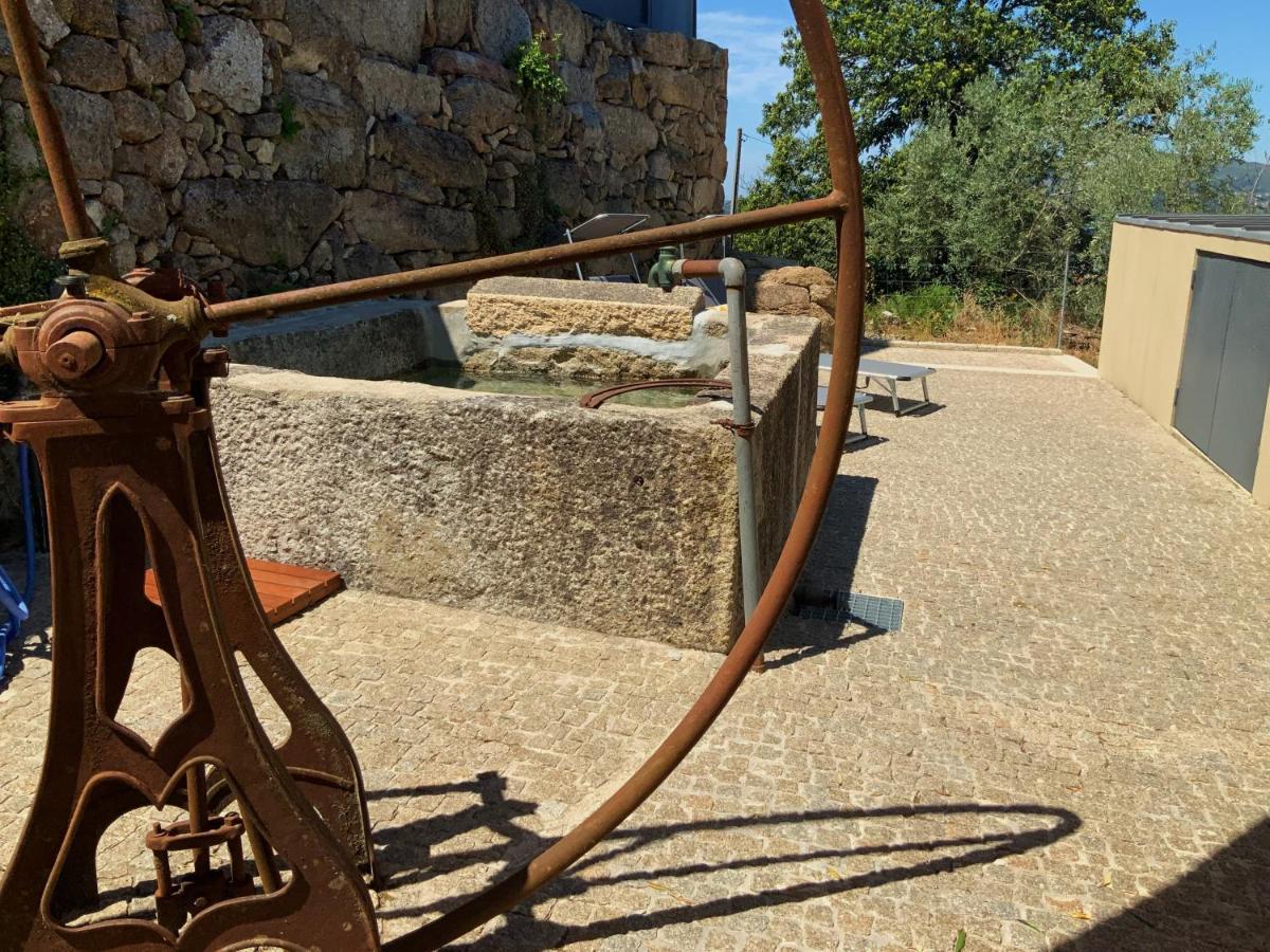 Casa Da Zefinha, Em Cinfaes, No Douro Apartment Екстериор снимка